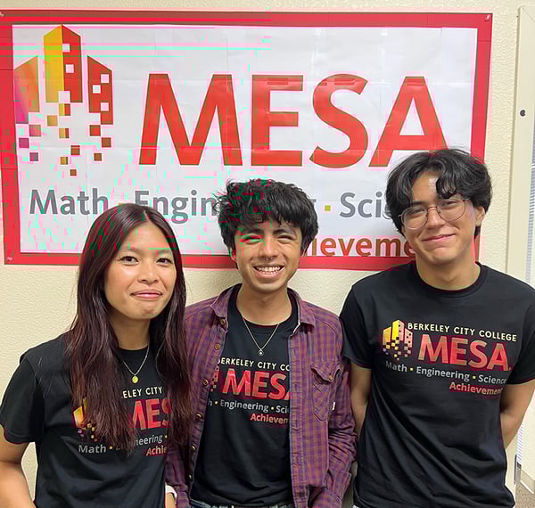 3 mesa