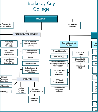 bcc general org chart